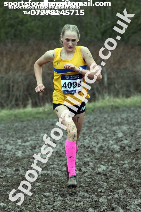 Girls under-15s 2018 British Inter Counties Cross Country Champs., Prestwold Hall, Loughborough. Photo: David T. Hewitson/Sports for All Pics